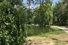 Parcul Nicoale Romanescu, Craiova 53