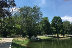 Parcul Nicoale Romanescu, Craiova 56