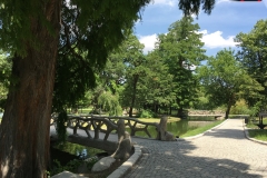 Parcul Nicoale Romanescu, Craiova 59