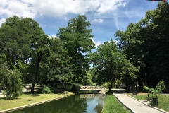 Parcul Nicoale Romanescu, Craiova 61