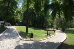 Parcul Nicoale Romanescu, Craiova 62