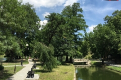 Parcul Nicoale Romanescu, Craiova 64