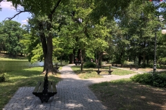 Parcul Nicoale Romanescu, Craiova 66