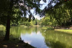 Parcul Nicoale Romanescu, Craiova 71