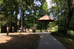 Parcul Nicoale Romanescu, Craiova 72