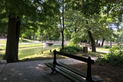 Parcul Nicoale Romanescu, Craiova 73