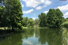 Parcul Nicoale Romanescu, Craiova 76