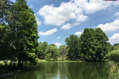 Parcul Nicoale Romanescu, Craiova 77