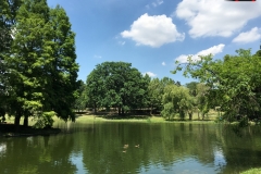 Parcul Nicoale Romanescu, Craiova 79