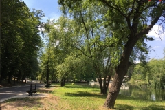 Parcul Nicoale Romanescu, Craiova 86