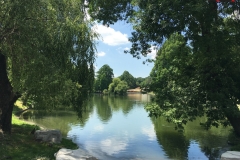 Parcul Nicoale Romanescu, Craiova 97