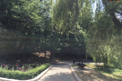 Parcul Nicoale Romanescu, Craiova 98