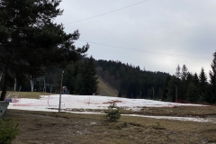 Partia de schi Lorincz Szigmond 05