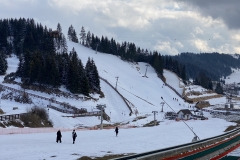 Partii de schi la Cheile Gradistei 14
