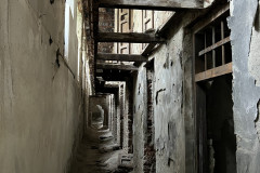 Penitenciarul Doftana 117