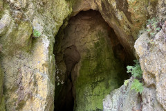 Peștera Bătrânului 14