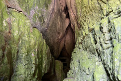 Peștera Bătrânului 19