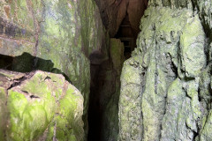 Peștera Bătrânului 20