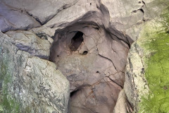 Peștera Bătrânului 21