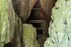 Peștera Bătrânului 22