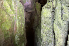 Peștera Bătrânului 24