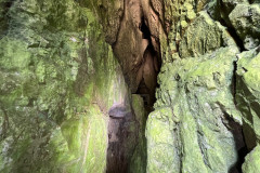 Peștera Bătrânului 25