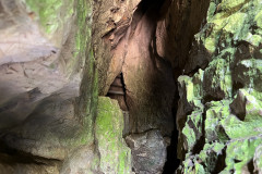 Peștera Bătrânului 27