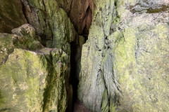 Peștera Bătrânului 31