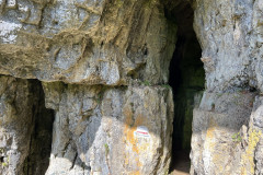 Peștera Bătrânului 36