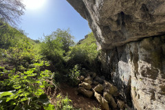 Peștera Bătrânului 39