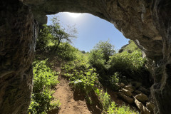 Peștera Bătrânului 40