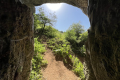 Peștera Bătrânului 41