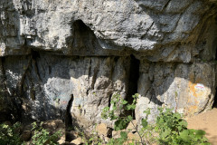 Peștera Bătrânului 44