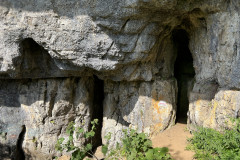 Peștera Bătrânului 45