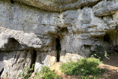 Peștera Bătrânului 46