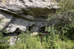 Peștera Bătrânului 47