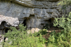 Peștera Bătrânului 48