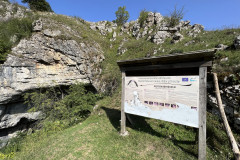 Peștera Bătrânului 52