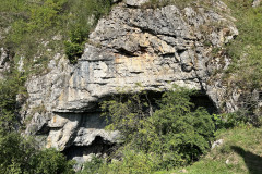 Peștera Bătrânului 54