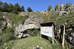 Peștera Bătrânului 55