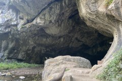 Peștera Bolii 10
