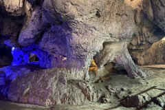 Peștera Bolii 18