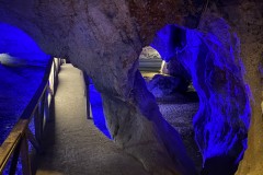 Peștera Bolii 24