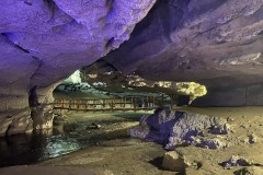 Peștera Bolii 39