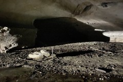 Peștera Bolii 49