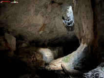 Peștera Cetatea Rădesei 113