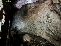 Peștera Cetatea Rădesei 117