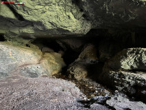 Peștera Cetatea Rădesei 24