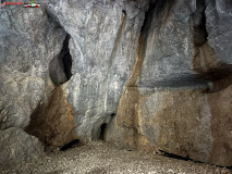 Peștera Cetatea Rădesei 25