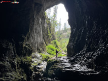 Peștera Cetatea Rădesei 97